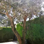 D'el Rey The Golf & فيلة