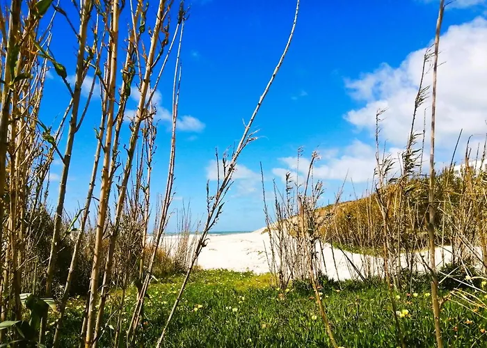 D'el Rey The Golf & Obidos