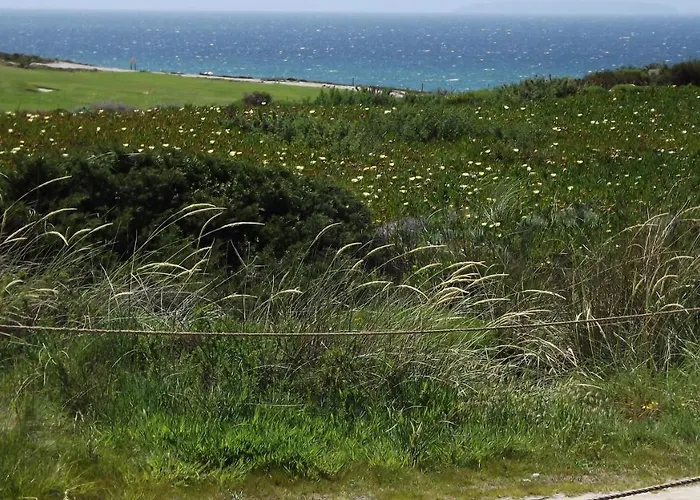 D'el Rey The Golf & Villa Obidos